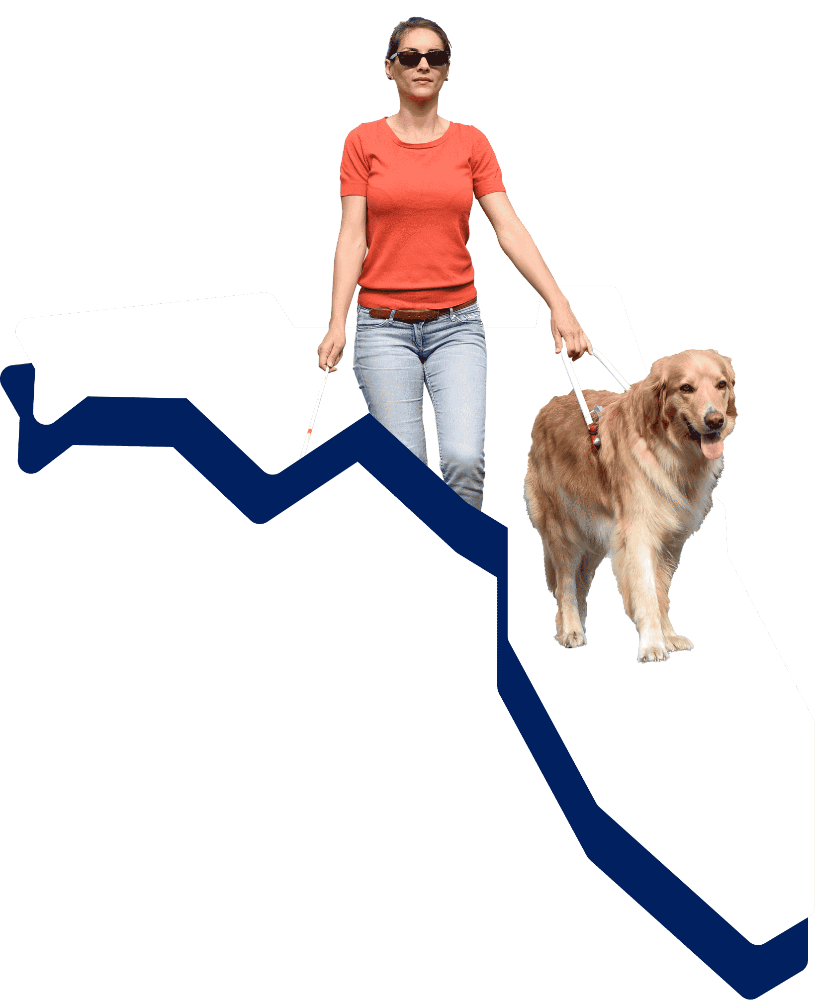 woman walking with a white cane and a guide dog on an illustration of the map of florida